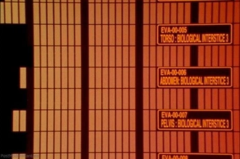 A cover of "eva" cluster. The owner is kohaku. The cluster consists of 6 elements.