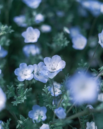 A cover of "Beautiful" cluster. The owner is pythonsx. The cluster consists of 5 elements.