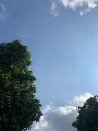 A cover of "Nature" cluster. The owner is mariaacuna. The cluster consists of 1 element.