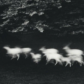 A cover of "01" cluster. The owner is bingan. The cluster consists of 313 elements.