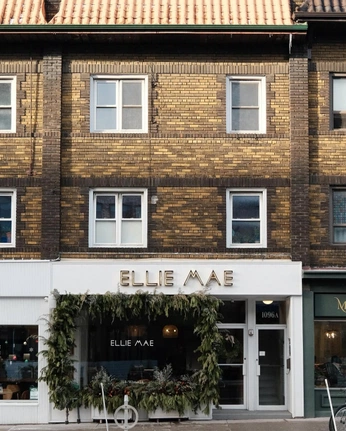 A cover of "Ellie Mae" cluster. The owner is victorx. The cluster consists of 1 element.