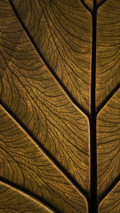 Textures and patterns