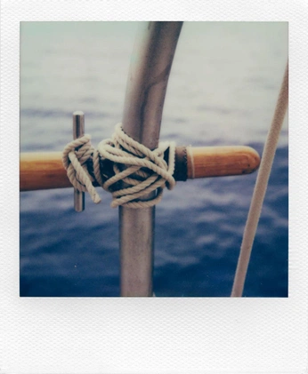 A cover of "胶片🎞️" cluster. The owner is cathy0u. The cluster consists of 16 elements.