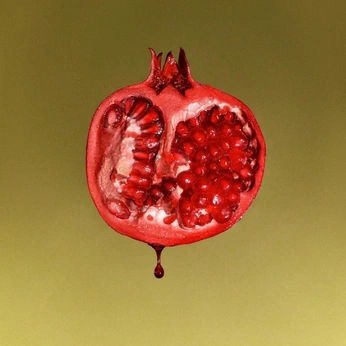 A cover of "kore" cluster. The owner is noxisuppose. The cluster consists of 4 elements.