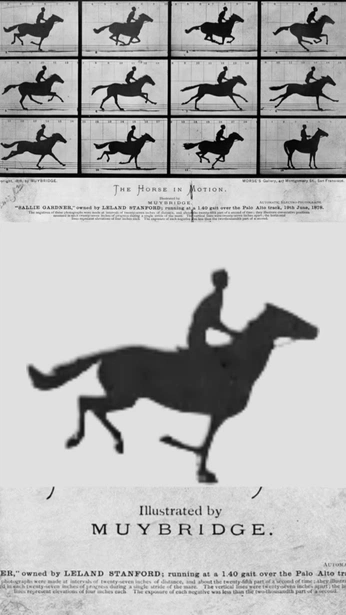 A cover of "Dæhlie Derby" cluster. The owner is monessat. The cluster consists of 14 elements.