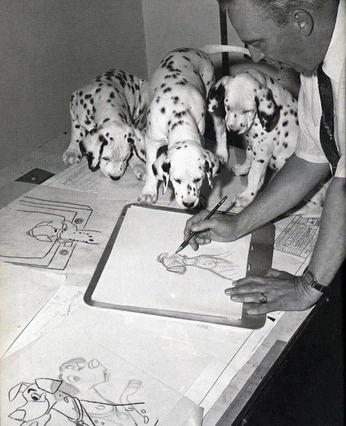 A cover of "Westminster Dog Show" cluster. The owner is katenewm. The cluster consists of 24 elements.