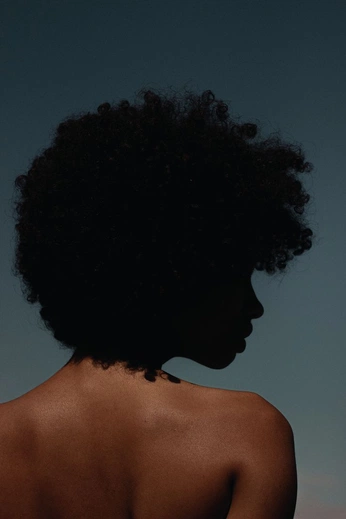 A cover of "My hair 🪻" cluster. The owner is r3nee. The cluster consists of 12 elements.