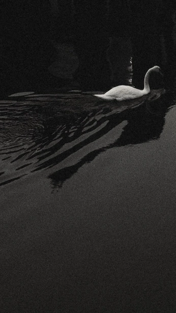 A cover of "me core" cluster. The owner is jisusus. The cluster consists of 29 elements.