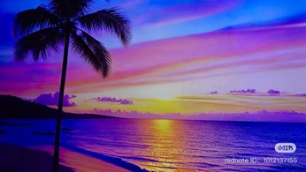 A cover of "TV beach background" cluster. The owner is chillinn.102. The cluster consists of 16 elements.