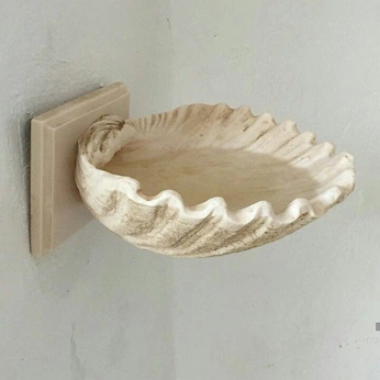 A cover of "espuma de mar" cluster. The owner is agu444fiestas. The cluster consists of 22 elements.