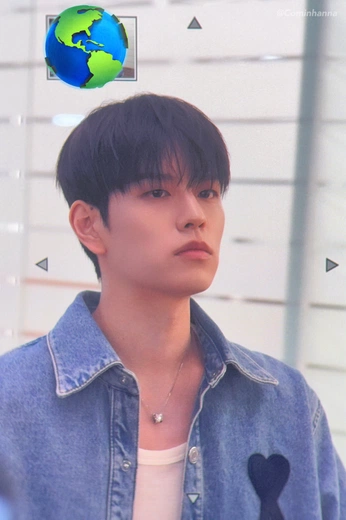 A cover of "IDOL" cluster. The owner is preciousrain. The cluster consists of 1 element.