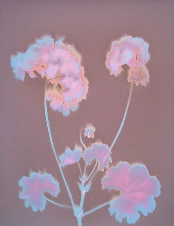 A cover of "Digital Art" cluster. The owner is evrym0ment. The cluster consists of 58 elements.