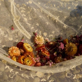 A cover of "Flores de universo" cluster. The owner is mirabillia. The cluster consists of 2 elements.