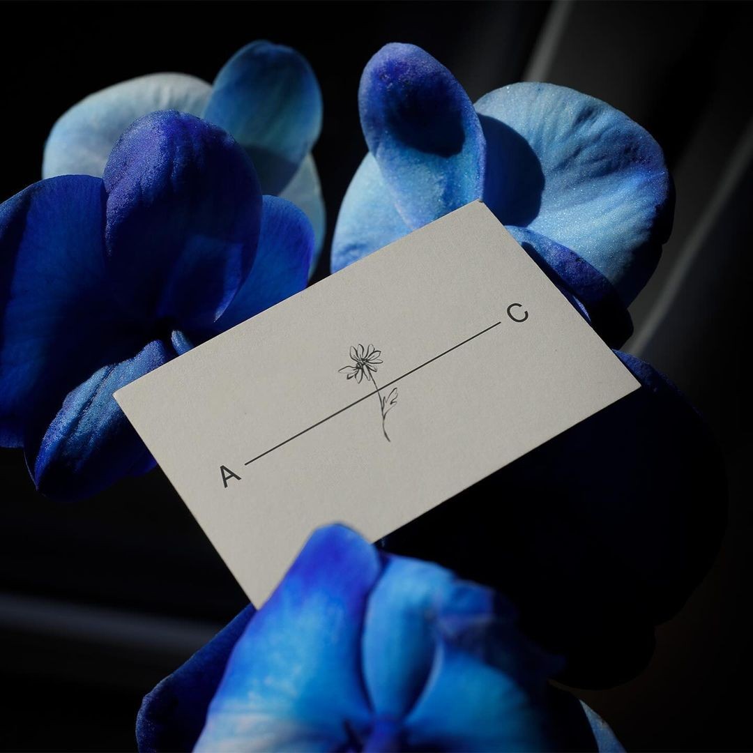 An Instagram carousel post added by hugo01 on Dec 03, 2023. The author is @guerinostudio.