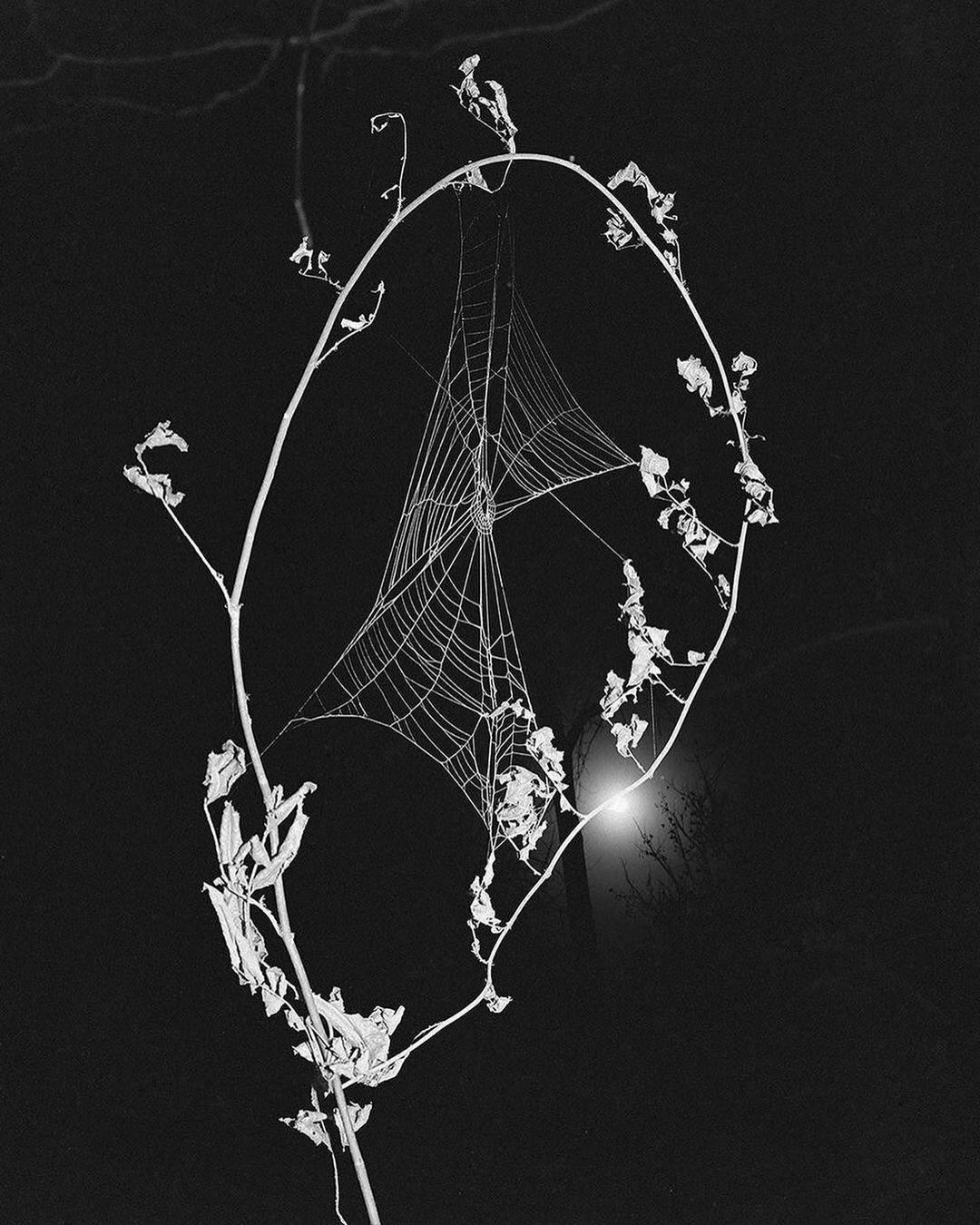 An Instagram  post added on Jun 22, 2024. The author is @photobookstore. May present: sleep creek dylan hausthor and paul guilmoth, twig, art, font, jewellery.