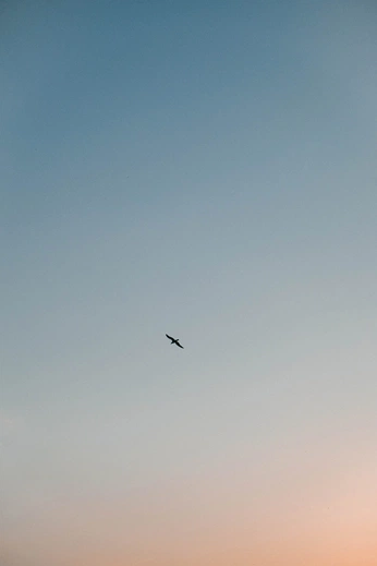 A cover of "NATURE" cluster. The owner is marcosgemal. The cluster consists of 55 elements.