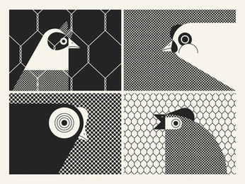 A cover of "Illustration" cluster. The owner is stephie.rr. The cluster consists of 33 elements.