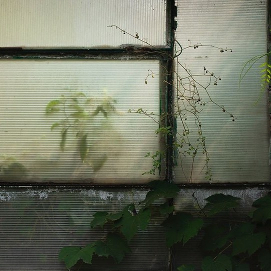 through glass