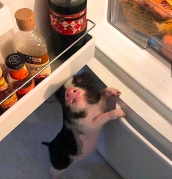 A cover of "Keep Going" cluster. The owner is m5dznr. The cluster consists of 1 element.