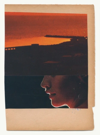 A cover of "BEAUTE NATURE MORTE" cluster. The owner is c.bclt. The cluster consists of 172 elements.