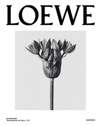 A cover of "loewe" cluster. The owner is michaelaberd. The cluster consists of 12 elements.