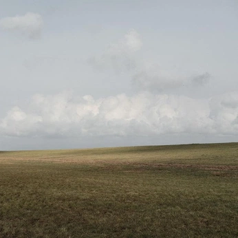 A cover of "rural" cluster. The owner is hk255. The cluster consists of 13 elements.