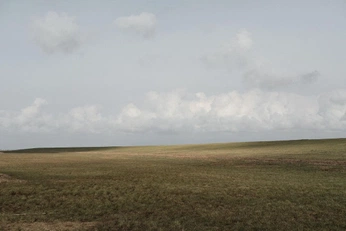 A cover of "swarm" cluster. The owner is razorloaf. The cluster consists of 9 elements.