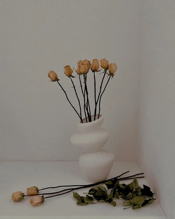 A cover of "Mine" cluster. The owner is riaryyu. The cluster consists of 21 elements.