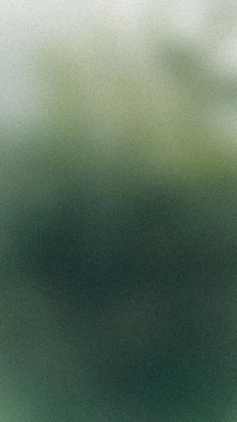 A cover of "Gradient" cluster. The owner is mintran. The cluster consists of 25 elements.