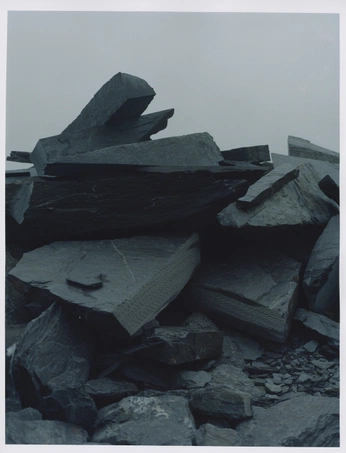 A cover of "Photography" cluster. The owner is davidaguirre. The cluster consists of 55 elements.