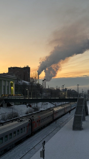A cover of "Delicate Days" cluster. The owner is sheepparsley. The cluster consists of 3 elements.
