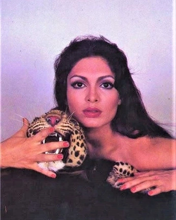 A cover of "Face Star" cluster. The owner is javelina. The cluster consists of 11 elements.