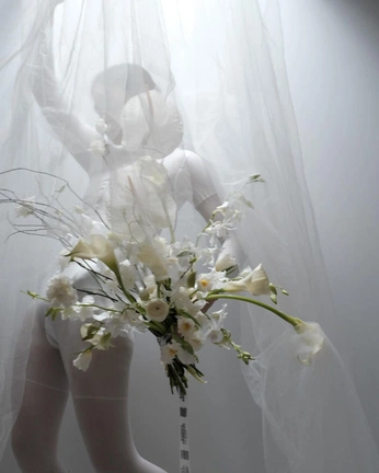 A cover of "DIRECT AND PRODUCE" cluster. The owner is femvdhulst. The cluster consists of 121 elements.