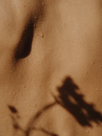 A cover of "Skin" cluster. The owner is mayakumar. The cluster consists of 9 elements.