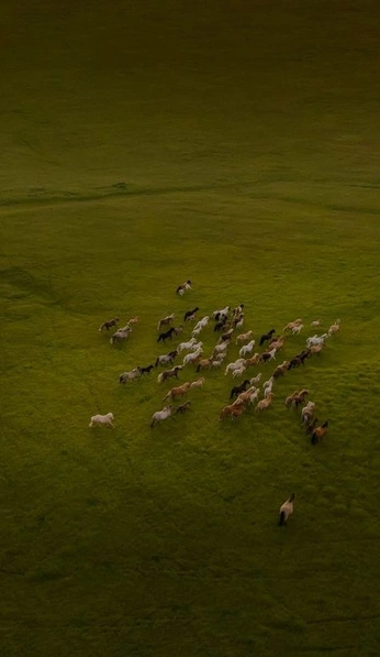 A cover of "LA NATURALEZA" cluster. The owner is jorgediaz. The cluster consists of 55 elements.