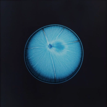 A cover of "Blue" cluster. The owner is blizina. The cluster consists of 6 elements.