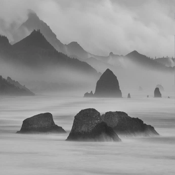 A cover of "Black and White" cluster. The owner is artzomb. The cluster consists of 99 elements.