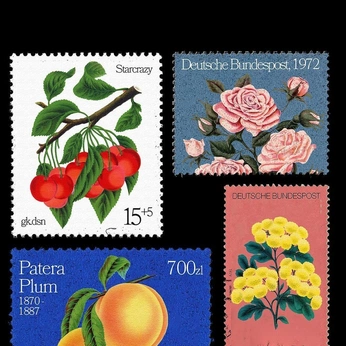 A cover of "stamps" cluster. The owner is vanneldas. The cluster consists of 60 elements.