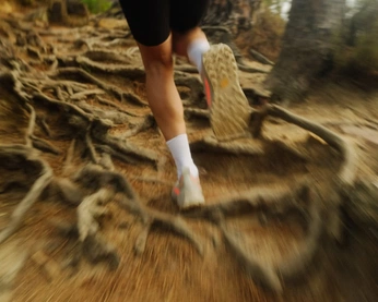 A cover of "Trail running" cluster. The owner is j7osh. The cluster consists of 33 elements.