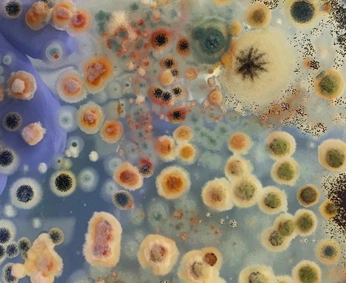 A cover of "textures" cluster. The owner is toscaplvd. The cluster consists of 49 elements.