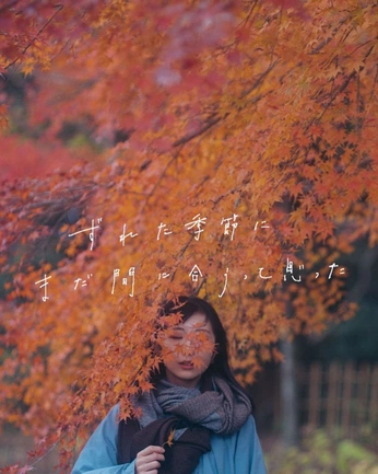 A cover of "Photography" cluster. The owner is onokami. The cluster consists of 5 elements.