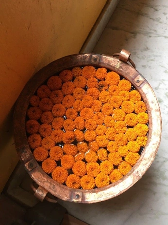 A cover of "BLOOM" cluster. The owner is likash. The cluster consists of 32 elements.