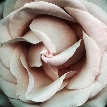 A cover of "ANT" cluster. The owner is stawowy. The cluster consists of 10 elements.