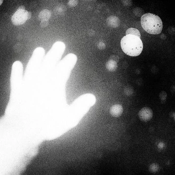 A cover of "E: Execute" cluster. The owner is ikigaiair. The cluster consists of 535 elements.