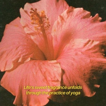 A cover of "fff" cluster. The owner is pppetronela. The cluster consists of 9 elements.