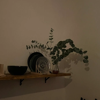 A cover of "places" cluster. The owner is greatbutters. The cluster consists of 44 elements.