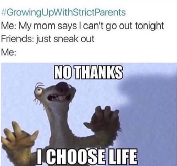 A cover of "MEME" cluster. The owner is worminator. The cluster consists of 1875 elements.