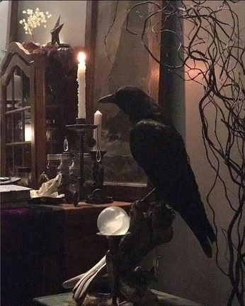 A cover of "Dark Academia" cluster. The owner is laurenledonne. The cluster consists of 92 elements.