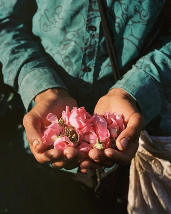 A cover of "smell" cluster. The owner is punxtears. The cluster consists of 5 elements.