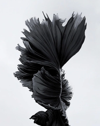 A cover of "wallpaper" cluster. The owner is raidha. The cluster consists of 1 element.